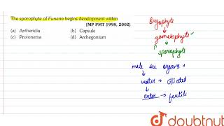 The sporophyte of Funaria begins development within [upl. by Mosra]