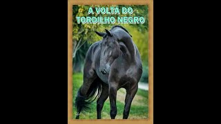 a volta do tordilho negro clipe [upl. by Nylinej660]