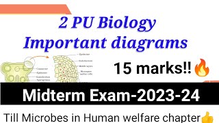 2 PU BIOLOGY IMPORTANT DIAGRAMS for MIDTERM EXAM 202324 biostudymadeeasy​ [upl. by Anastice]