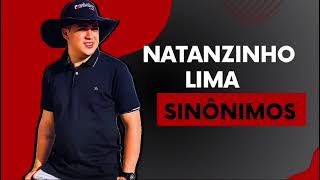 SINÔNIMO DE AMOR É AMAR  NATANZINHO LIMA  MÚSICA NOVA  SERESTA OUTUBRO 2024  NO 12 [upl. by Ydnyc]