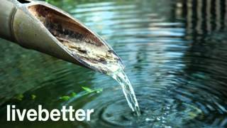 Bruit De LEau Qui Coule  Pour Vous Détendre  Source japonaise de bambou  Zen pour dormir [upl. by Tnerb]