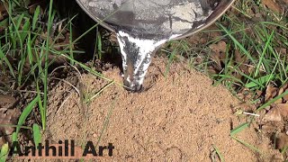 Casting Another Fire Ant Colony with Molten Aluminum Cast 061 [upl. by Richelle]