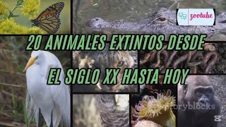 😿¡20 animales que se han extinguido desde el siglo XX hasta la actualidad😿 [upl. by Fahey]