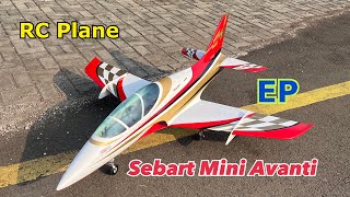 RC Plane Sebart Mini Avanti EDF [upl. by Letnohc208]