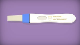 Home pregnancy tests [upl. by Adali484]