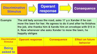 3 phase Operant Conditioning model  VCE Psychology [upl. by Hairahs]