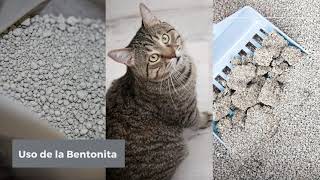 Bentonita para el arenero de gatos  Usos de la Bentonita sódica [upl. by Latea]