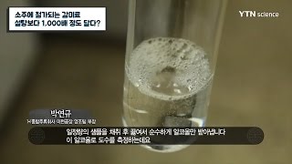 소주에 첨가되는 감미료 설탕보다 1000배 정도 달다  YTN 사이언스 [upl. by Kandace]