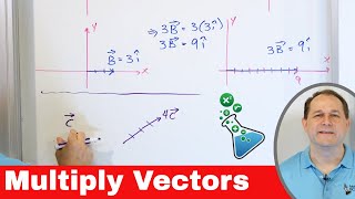 How to Multiply a Vector by a Scalar [upl. by Eldwon343]