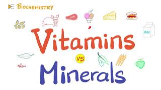 Vitamins vs Minerals  What’s the difference  Diet amp Nutrition Series [upl. by Aerdnac]