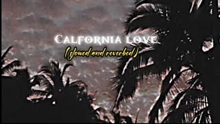 California Love  Slowed  Reverbed [upl. by Esidarap]