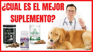 MEJORES SUPLEMENTOS para MASCOTAS en 2021  ¿CUANDO debo dar SUPLEMENTOS a mi MASCOTA [upl. by Modnar998]