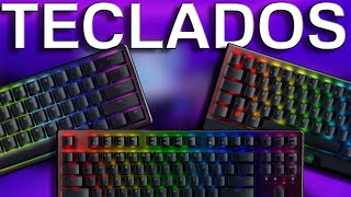 TOP 3 TECLADOS GAMER 2024  LOS 3 MEJORES TECLADOS GAMER DE 2024 [upl. by Chang]