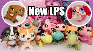 I bought from a New LPS store 👀 [upl. by Eelana]