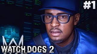 Watch Dogs 2  All DedSec Cutscenes [upl. by Caraviello123]