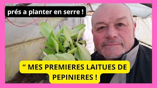 Au 12 février au jardin NOS PREMIERES LAITUES DE SERRE [upl. by Einwat]