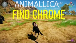 ANIMALLICA FIND CHROME [upl. by Moneta829]