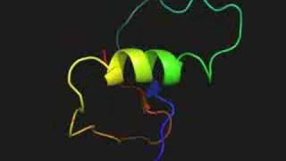 Protein folding simulation from denatured to native state [upl. by Obidiah]