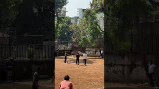 1 Ball 2 Runs cricket cricketlover tenniscricket cricketnews cricketfans [upl. by Queridas]