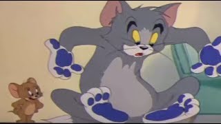 Tom and Jerry  Mouse Cleaning  TampJ Movie Cartoon For Kids [upl. by Oninotna903]