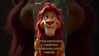 Datos Curiosos de EL LEON  El Rey de la Selva [upl. by Noemis394]