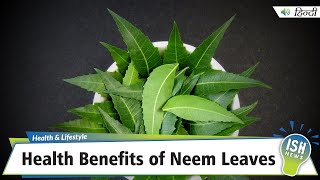 Health Benefits of Neem Leaves  ISH News [upl. by Federico]