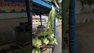 Aloe vera🌵🍃Juice😍❤️  Healthy food  Nive’s Vlog shorts [upl. by Purcell985]