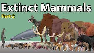 Massive Extinct Mammals Size Comparison 2024  Extinct Mammals Size Comparison 2024 part2 [upl. by Ennayram]