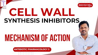 Antibiotics mode of action malayalam Penicillins Cephalosporins Vancomycin Cell wall Inhibitors [upl. by Yeta68]