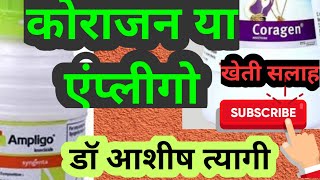 Coragen vs Ampligo use in sugarcane by Dr Ashish Tyagi गन्ने में कोराजन या एंप्लीगो की सही जानकारी [upl. by Ohare]