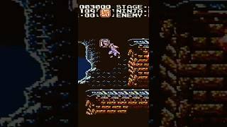 Secret OneUps in Ninja Gaiden nes tricks [upl. by Aninad]