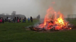 Jaarlijkse kerstboomverbrandingen WestBrabant [upl. by Eibob]