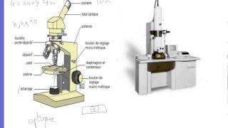 Biologie Cellule  La cellule vue au microscope optique [upl. by Airitak]