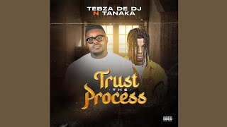 Tebza De DJ  Trust The Process feat Tanaka Official Audio [upl. by Lobell690]