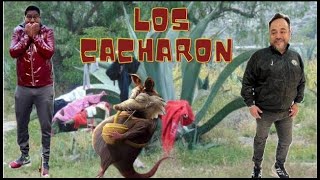 lNFl3L3S Y UN TLACUACHE B0RRACH0 [upl. by Arfihs493]