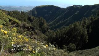 VALSEQUILLO DE GRAN CANARIA [upl. by Ssilem227]