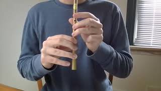 Spancil Hill Irish Tin Whistle [upl. by Filler860]