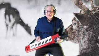 Cavatina  Deer Hunter  Tyros 2 and SHS 500 Keytar [upl. by Hsuk]