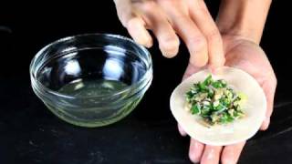 How to wrap a dumpling [upl. by Lagasse]