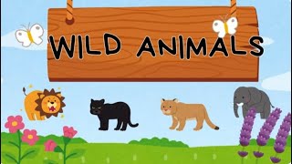 WILD ANIMALS Animales salvajes [upl. by Ahsemit537]