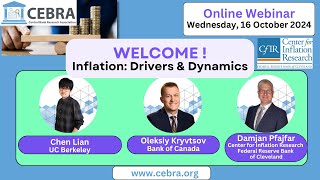 CEBRA webinar series quotInflation Drivers and Dynamicsquot Session 22 [upl. by Arbmahs468]