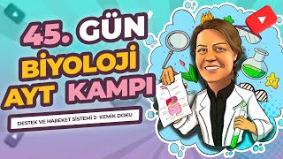 AYT KAMPI  11 SINIF  45 GÜN  DESTEK VE HAREKET SİSTEMİ 2 KEMİK DOKU [upl. by Marya600]