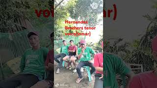 Hernandez Brothers tenor voice Jomar bulud nga ayatilocano music singingcoversong [upl. by Targett]