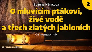 Božena Němcová O mluvícím ptákovi živé vodě a třech zlatých jabloních 23 [upl. by Restivo]