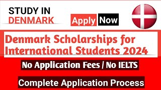 Study in Denmark I Fully funded scholarships for international students 2024 I No IELTS required [upl. by Enimaj115]