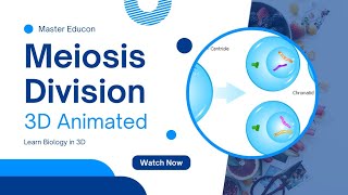 Meiosis Cell Division Explained in 3D  Master Educon  Cell Biology 3D Animation [upl. by Assirrem]