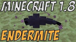 Minecraft 18  Endermite  NEW MOB [upl. by Neb]