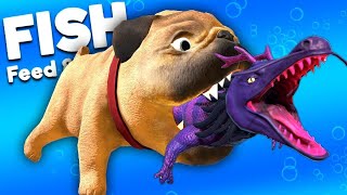 MYTHICAL DRAGON MONSTER vs GIANT PUG FISH  Feed And Grow Fish [upl. by Anirbaz]