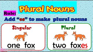 NOUN  Adding es to Words Ending in CH SH S X amp Z  Plural Nouns  Liy Learns Tutorial [upl. by Meek]