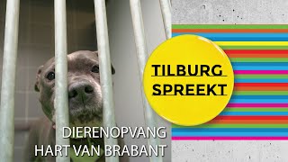 Raad bezoekt dierenopvang Hart van Brabant [upl. by Rehsa638]